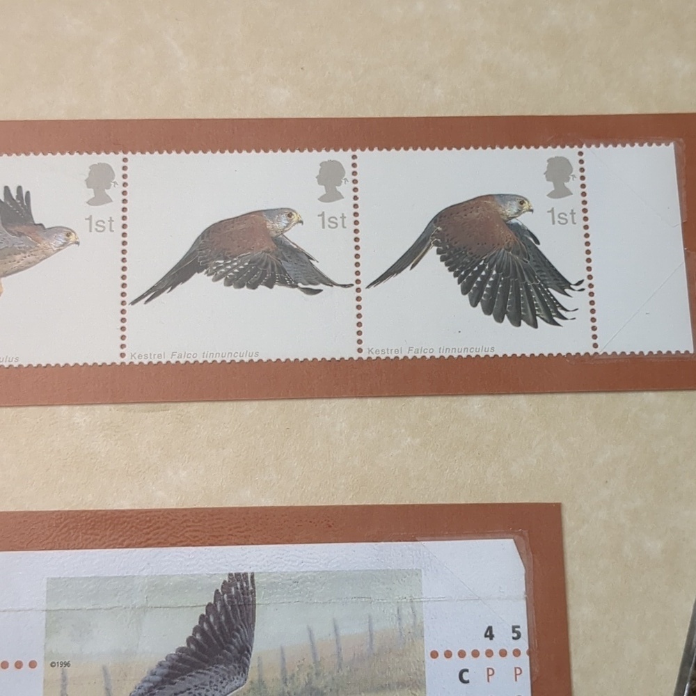 Kestrel Bird Stamp Collection Sheet - Picture 4 of 6